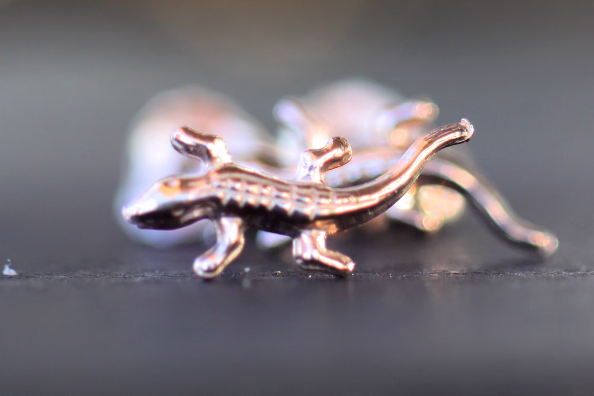 Minimalist Studs Lizards Earrings, Kids Tiny Animal Earrings Gift For Bridesmaid, Best Friend Or Self Gift, Hypoallergenic Earrings Studs