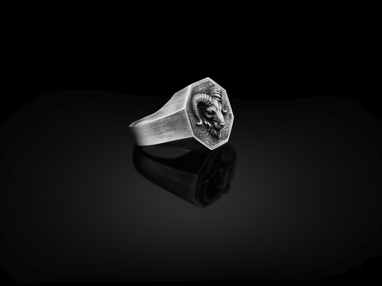 Oxidized 925 Silver Aries Ram Signet Men Ring, Head Zodiac Boho Man Animal Silve Jewelry, Ring For