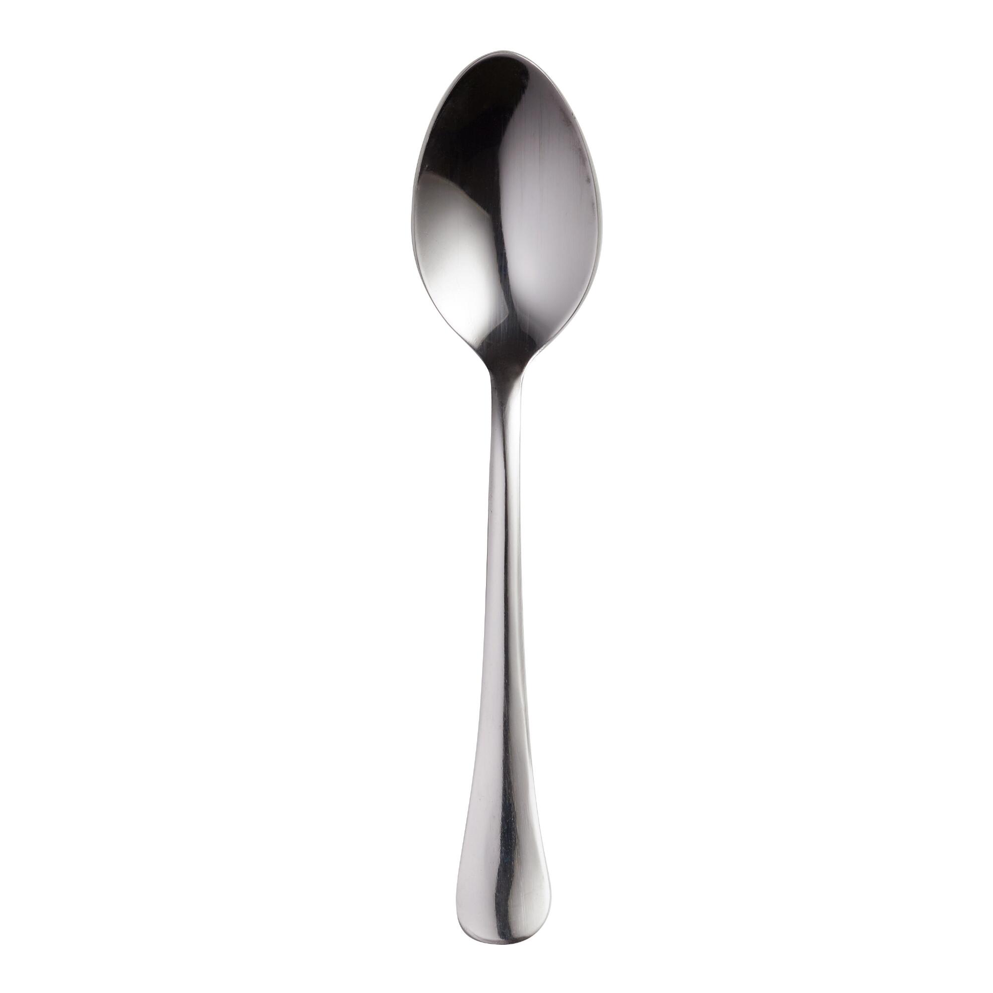 Stainless Steel Buffet Spoons 12 Pack: Silver by World Market