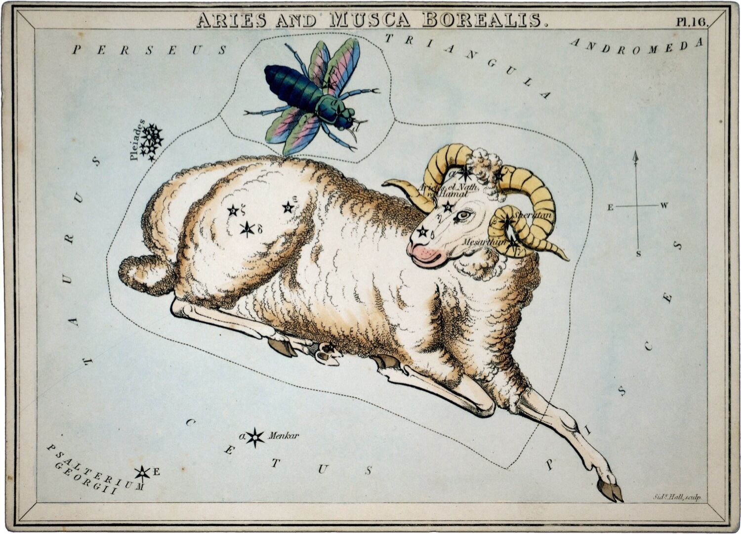 3422.Horoscope Aries ram Astrological POSTER.Home Room Science School Art decor