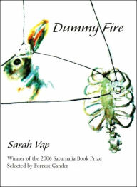 Dummy Fire Sarah Vap Author