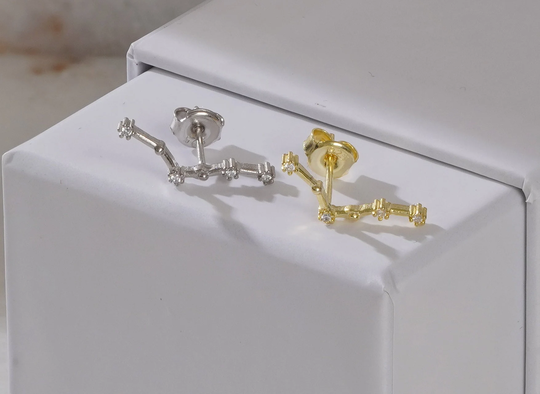 Pisces Earring, Zodiac Constellation Earrings, Studs, Astrology Horoscope Earring