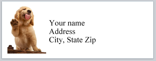 30 Personal Address Labels Cute Labrador Licking | P 184
