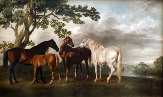 Mares & Foals in A River Landscape Horses Horse Fine Painting By George Stubbs On Paper Or Canvas Free Shipping Usa