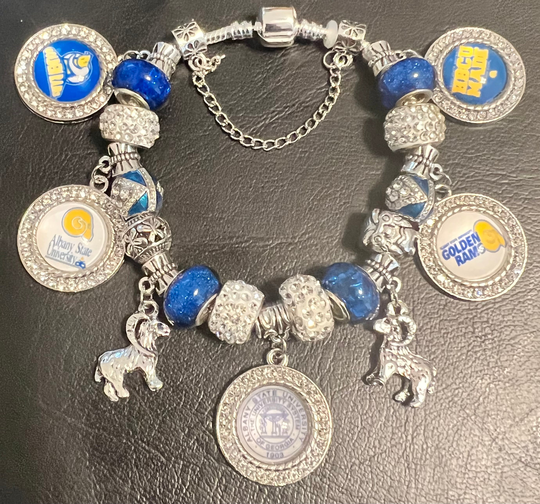 Albany State University Golden Rams Charms European Style Bracelets 21cm