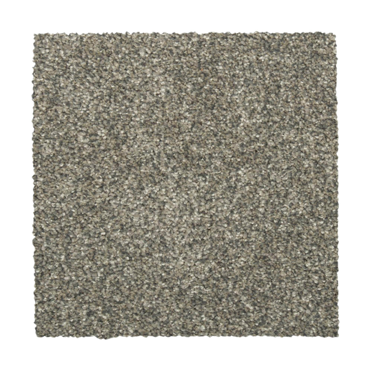 STAINMASTER Vibrant blend II Kettle Textured Carpet Sample (Indoor) Polyester in Gray | STP33-L007-0808