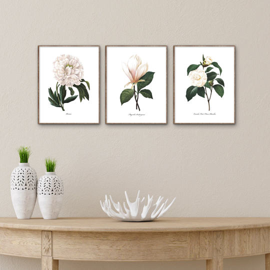 Mailed Prints White Flower Prints, French Botanical Art White Home Decor, Camellia Peony Magnolia Watercolor Prints, Set Of 3 Prints