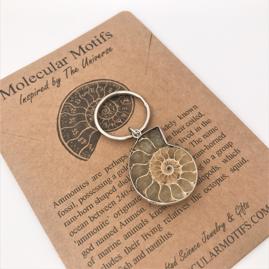 Ammonite Fossil Keychain-Science Gift-Unique Keychain-Ooak-Biology Gift-Graduation Gift-Teacher Gift-Professor Gift-Christmas Gift