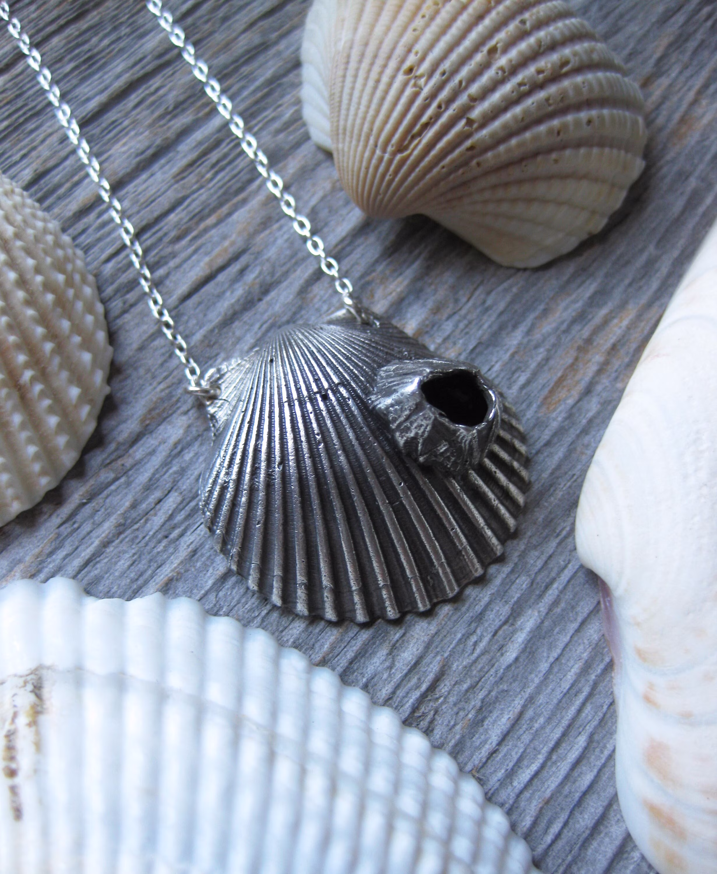 Scallop Shell & Barnacle Oxidized Sterling Silver Necklace