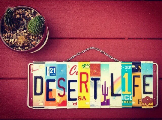 Desert Art, Decor, Signs, Cactus Travel Gifts, License Plate Sign, Home Gift For The Home, Patio Art