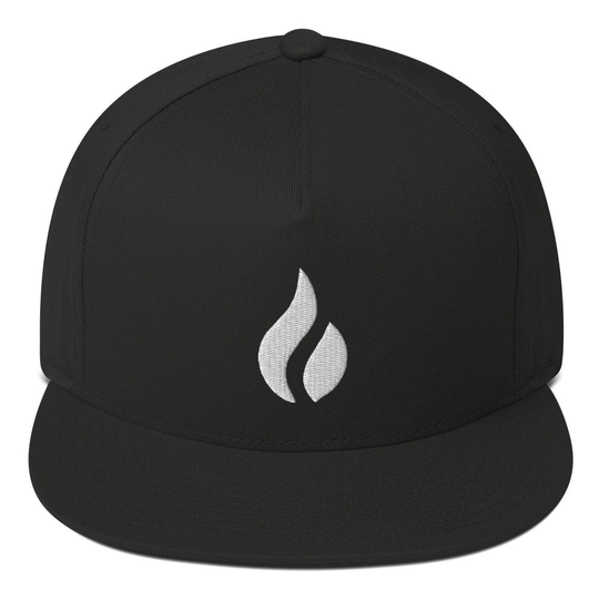Huobi Token Hat, Embroidered Flat Bill Snapback Cap, Crypto Gift