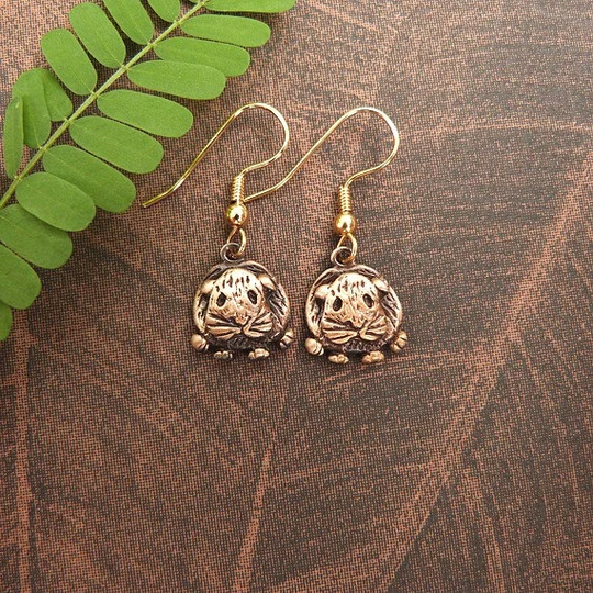 Guinea Pig Earrings Cavy Jewelry Pocket Pet Gifts