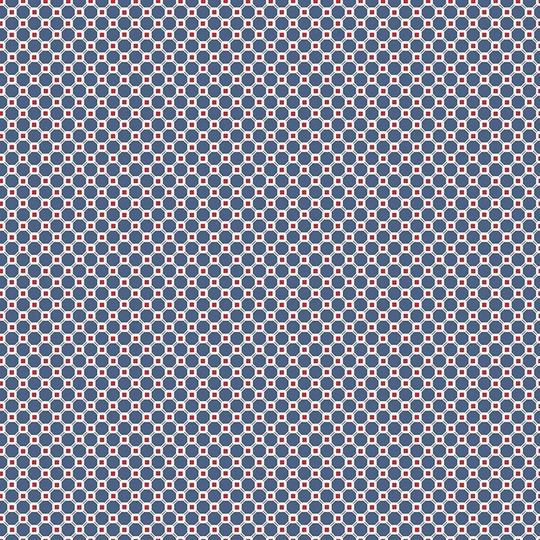 Lori Holt Cook Book Fabric By Riley Blake - Small Blue White & Red Check The 1/2 Yard Or Fat Quarter