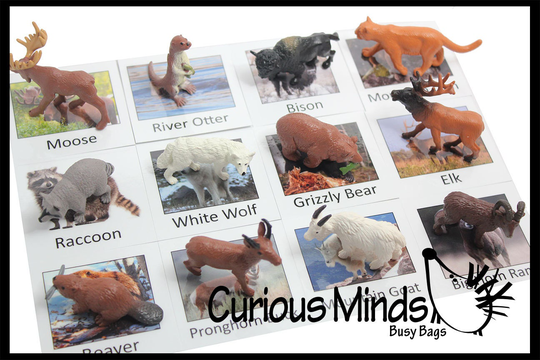 Montessori North American Wildlife Animal Match - Miniature Animals With Matching Cards Language Materials