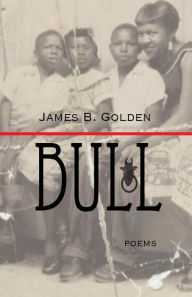 Bull: The Journey of a Freedom Icon James B. Golden Author