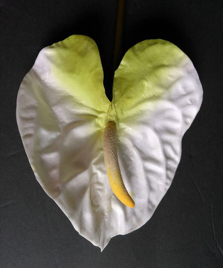 One Dozen 27" Stems Artificial Anthurium Stems