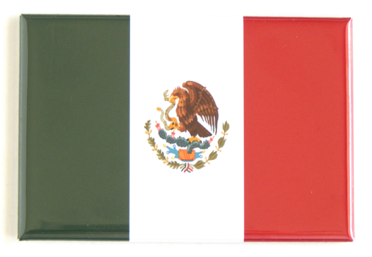 Flag Of Mexico Fridge Magnet