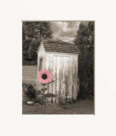 Pink Sunflower Vintage Outhouse Bathroom Modern Country Farmhouse Photography Matted Artwork Picture