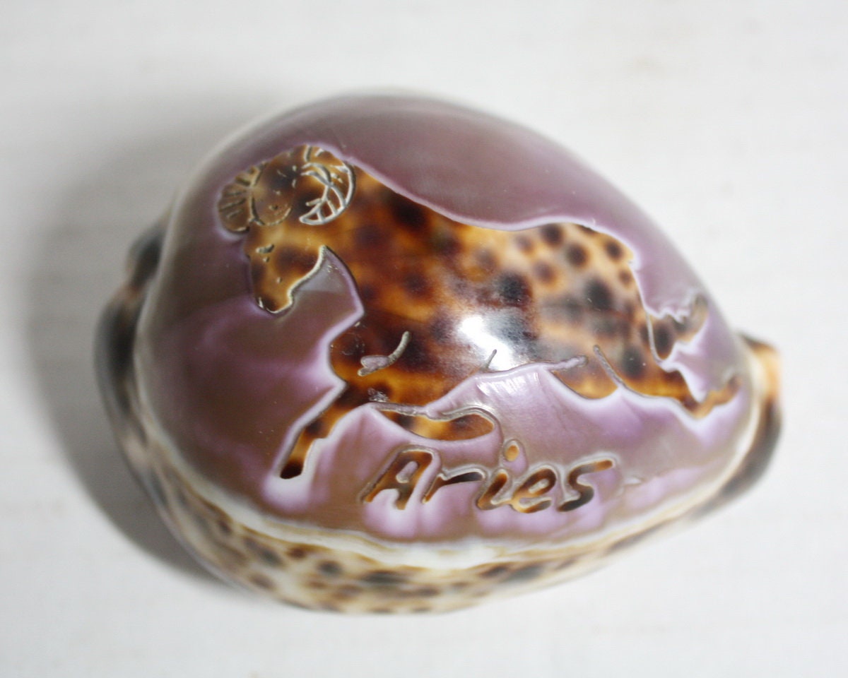 Cowrie Shell Hand Carved Aries Ram Zodiac Horoscope