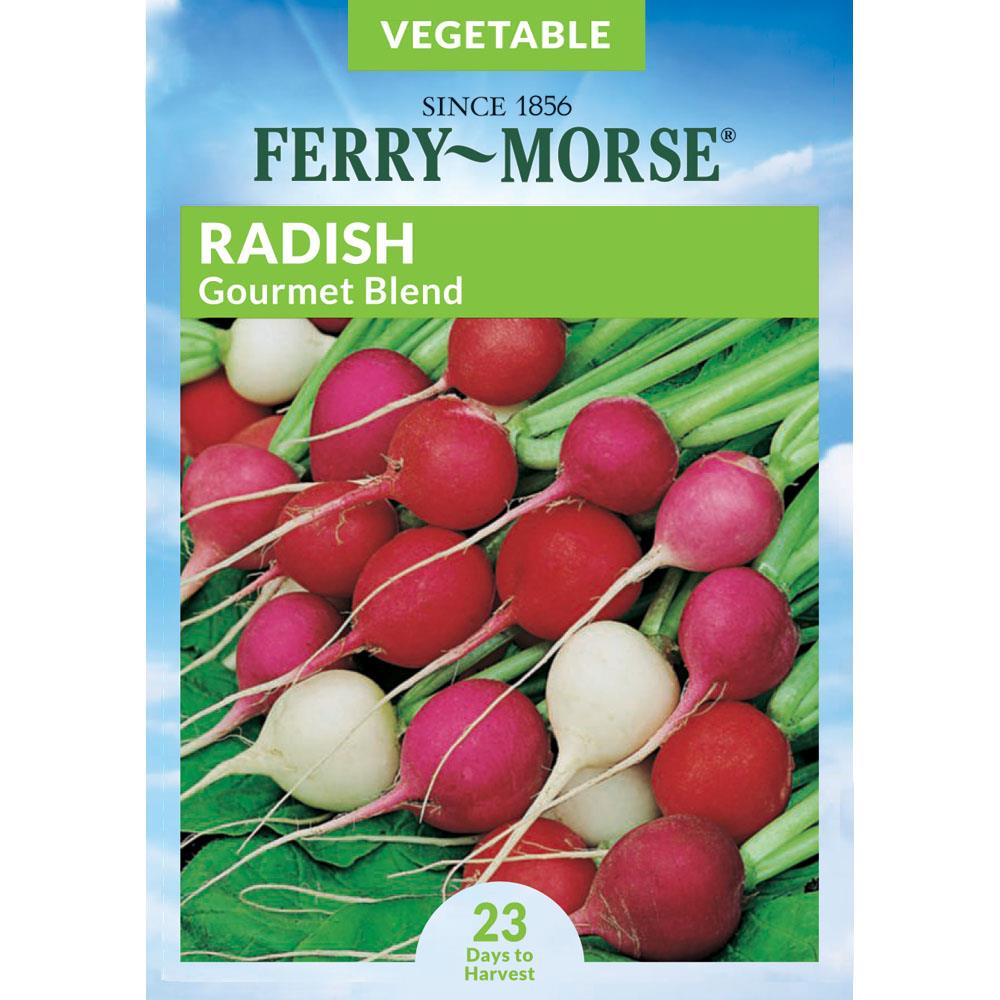 Ferry-Morse 2.5 Gram(s) Radish Gourmet Blend Vegetable (Seed Packet) | 468622.158.907282