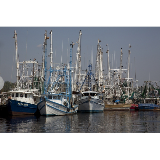 Bayou La Batre, Alabama, is a fishing village with a seafood-processing harbor for fishing boats and shrimp boats Poster Print by Carol - 24 x 36