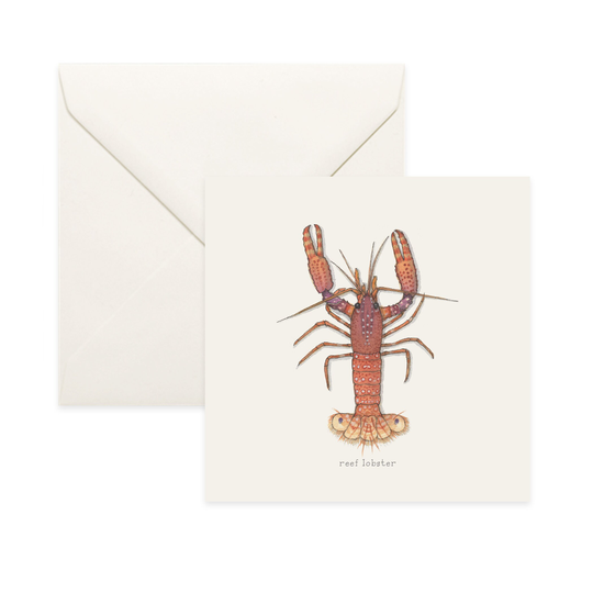 Lobsters Reef/Spiny Notecard Thank You Card Message Nature Illustration Crustacean Shellfish Seafood Culinary