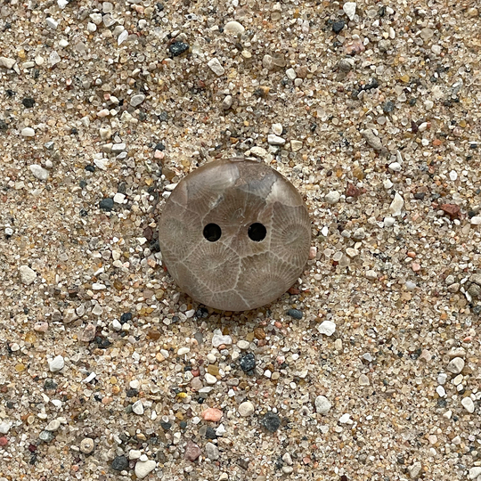 Round Petoskey Stone Button | M