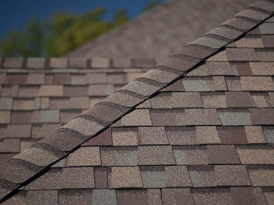 CertainTeed Shadow Ridge 31-lin ft Heather Blend Hip and Ridge Roof Shingles in Gray | 650617