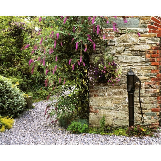 Old Water Pump, Ram House Garden, Co Wexford, Ireland PosterPrint - Item # VARDPI1798357 - 32 x 24