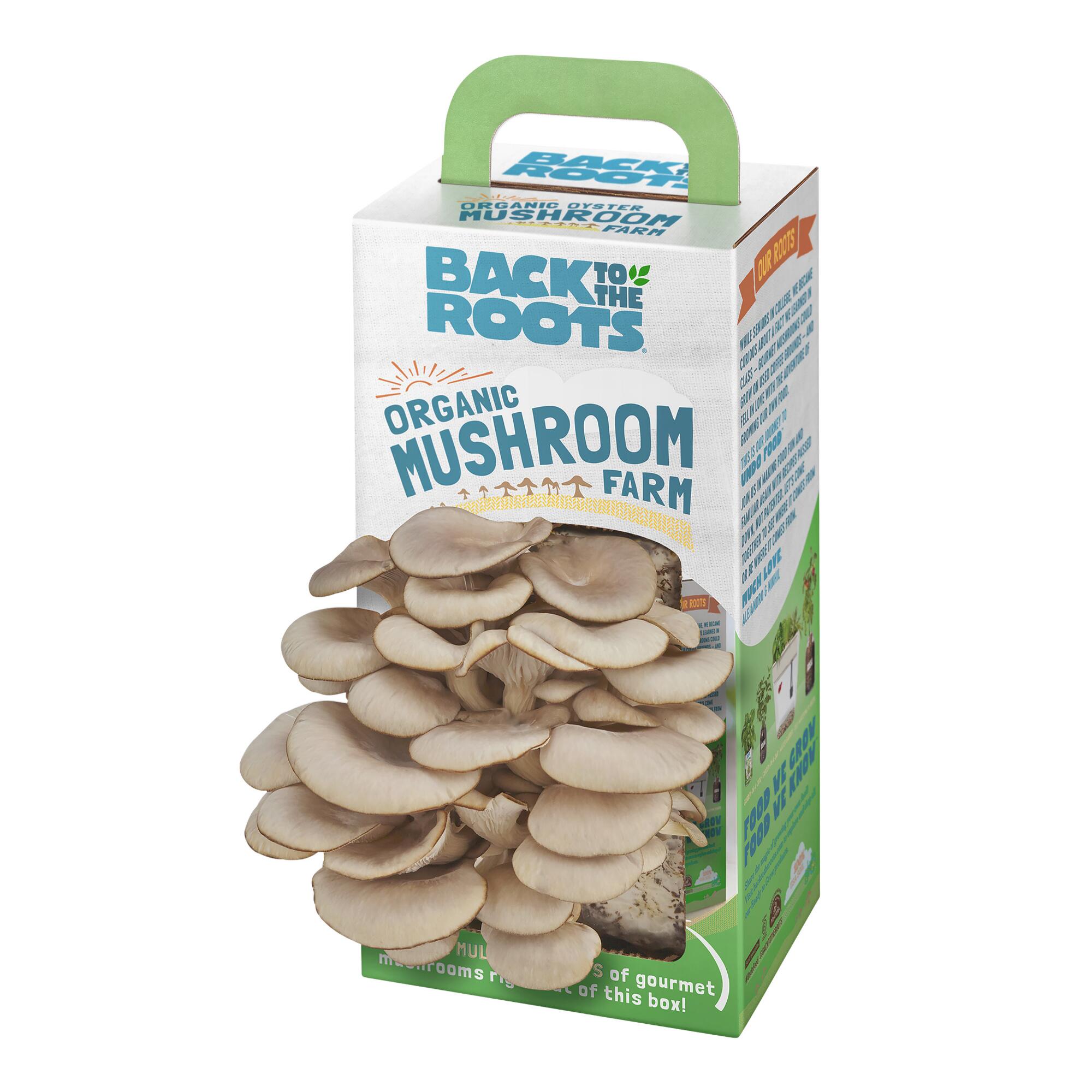 Back to the Roots Organic Oyster Mushroom Grow Kit by World Market