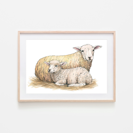 Sheep Watercolor Fine Art Print, Baby Animal Art, Nursery Wall Lamb Decor, Farm Nursery, Sheep