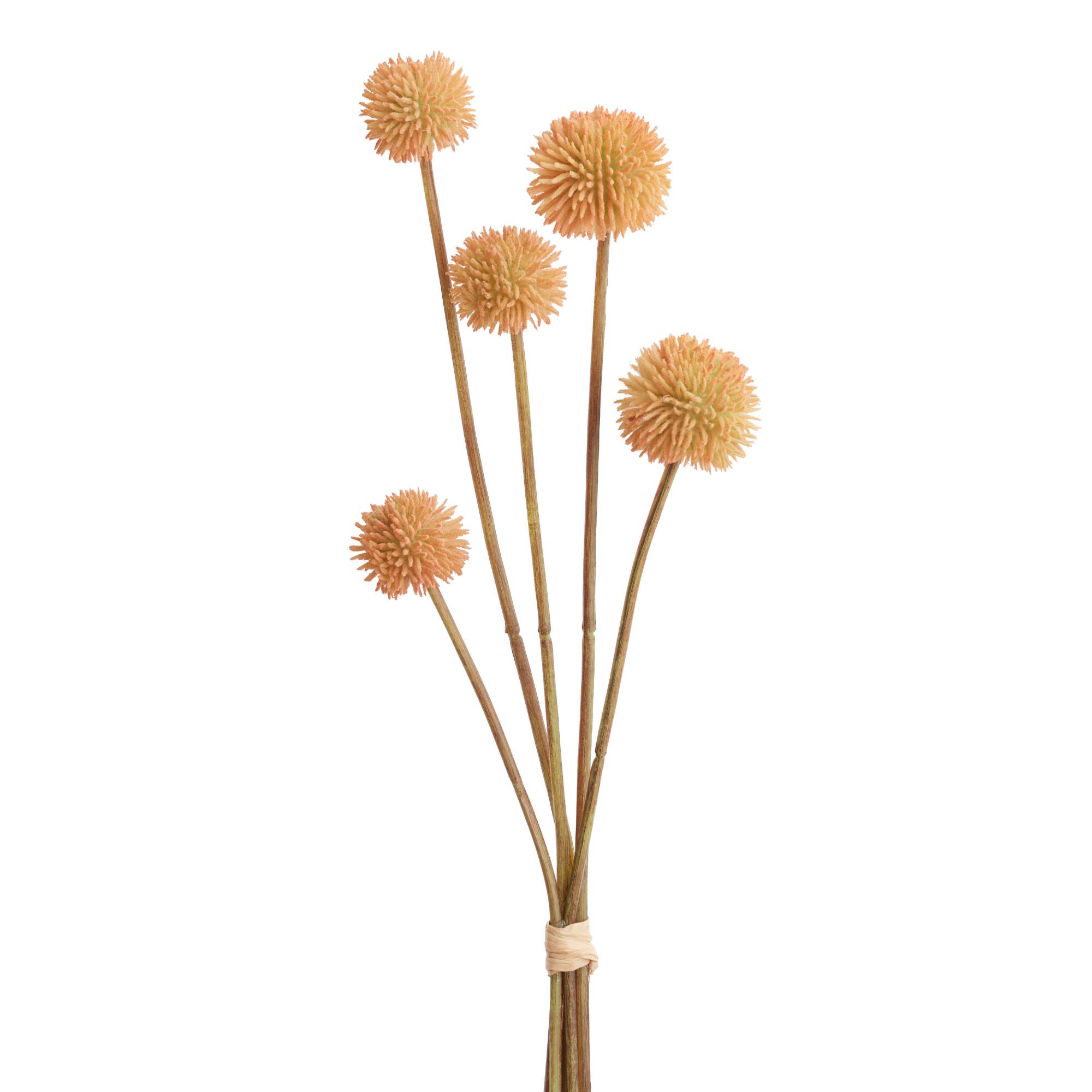Faux Terracotta Allium Bunch by World Market