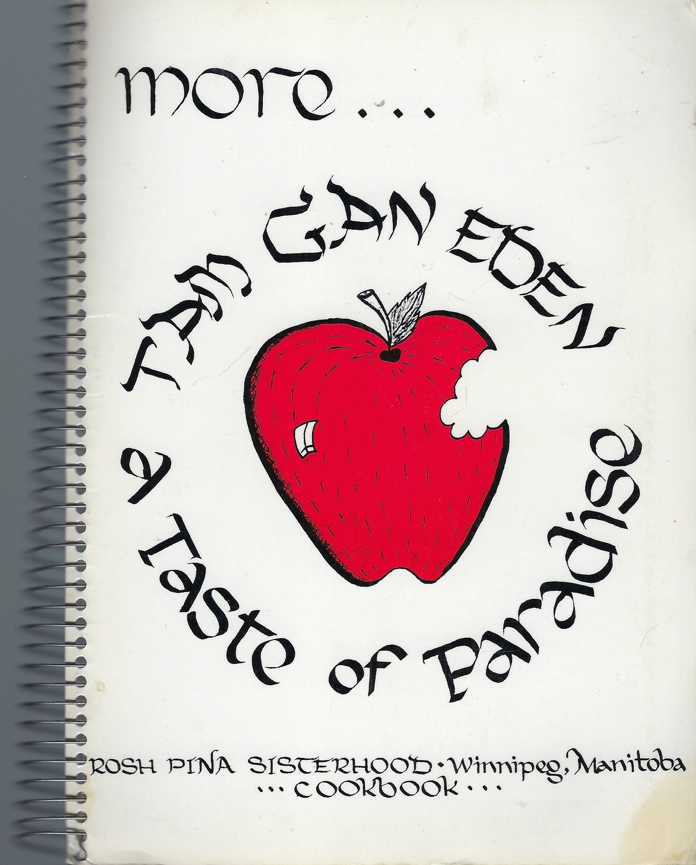 Winnipeg Manitoba Canada Vintage Rosh Pina Sisterhood Ethnic Traditional Jewish Cookbook Taste Of Paradise Favorite Recipes Rare Local Book