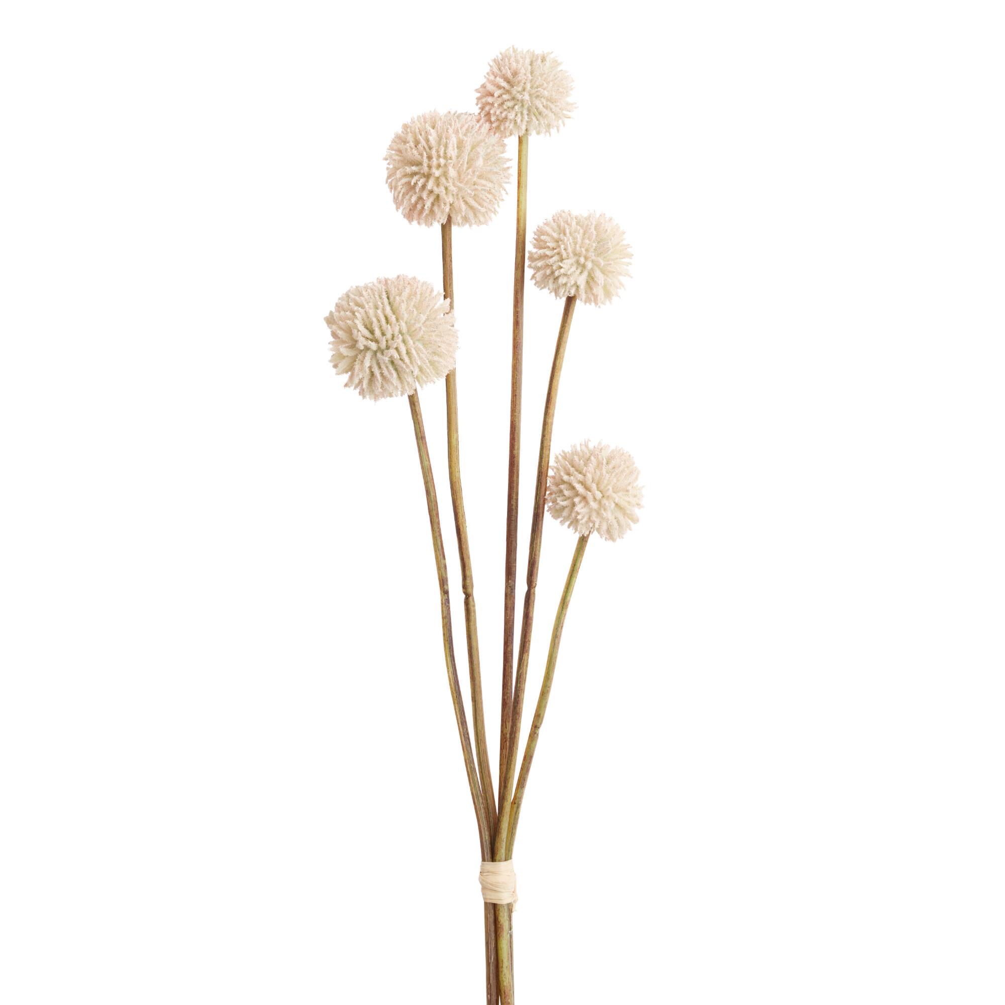 Faux Pink Allium Bunch by World Market