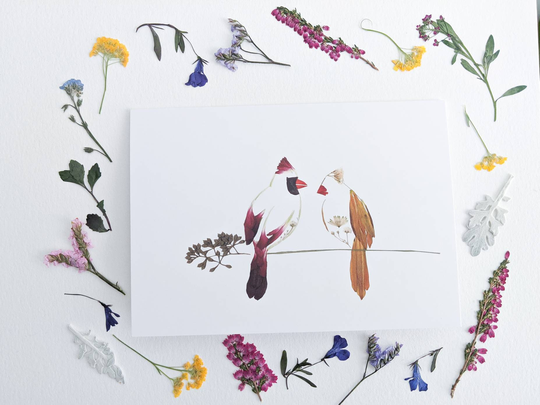 Pressed Flower Art Print Greeting Card, Blank Inside, Birds, Bird Lovers, Cardinal, Red Bird, Gift For Plant Lover, Gardener