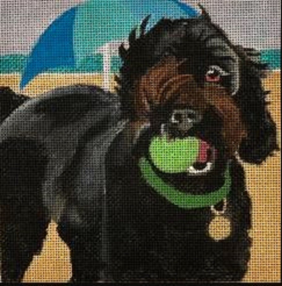Needlepoint Handpainted Melissa Prince Beach Happy Dog 6x6 -Free Us Shipping