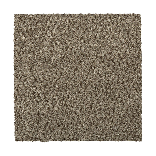 STAINMASTER Vibrant blend II Sequoia Textured Carpet Sample (Indoor) Polyester in Brown | STP33-L009-0808