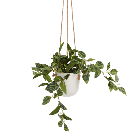 Faux Peperomia Quadrangularis Plant in Hanging Pot: Green - Plastic by World Market