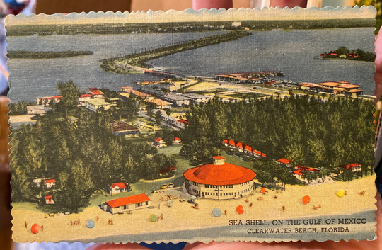Beautiful Antique Linen Postcard Of Sea Shell On The Gulf Mexico At Clearwater Beach, Florida