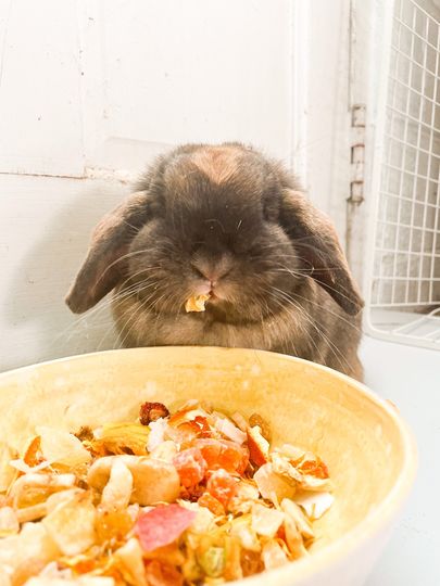 Sunset Blend, Fruity Forage, Bunny & Guinea Pig Treats, Organic Treats