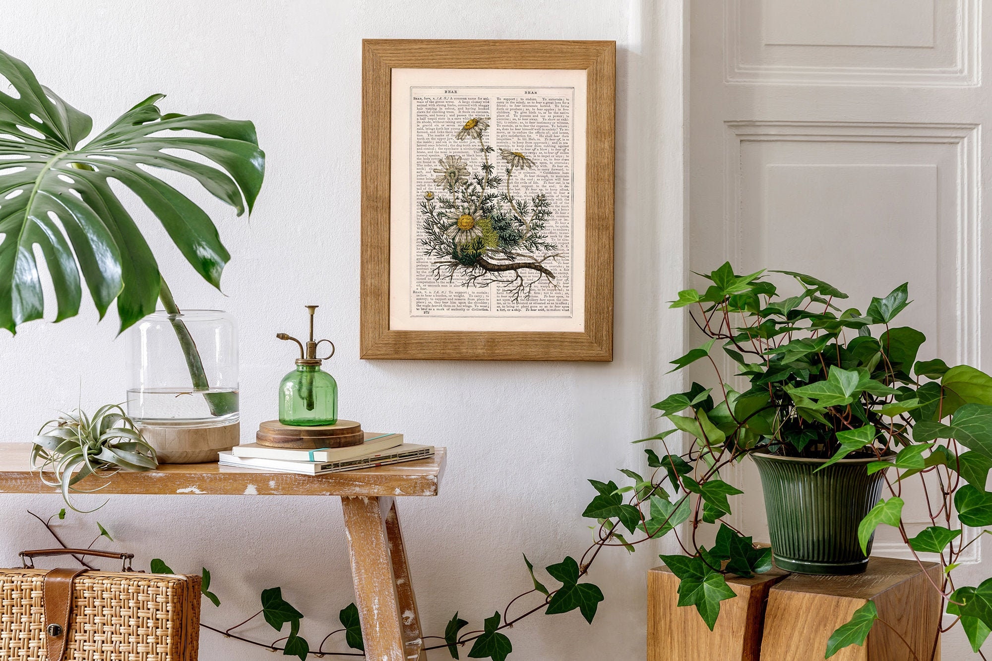 Chamomile Plant On Vintage Dictionary Page- Book Art - Flower Wall Housewarming Gift Print Bfl248
