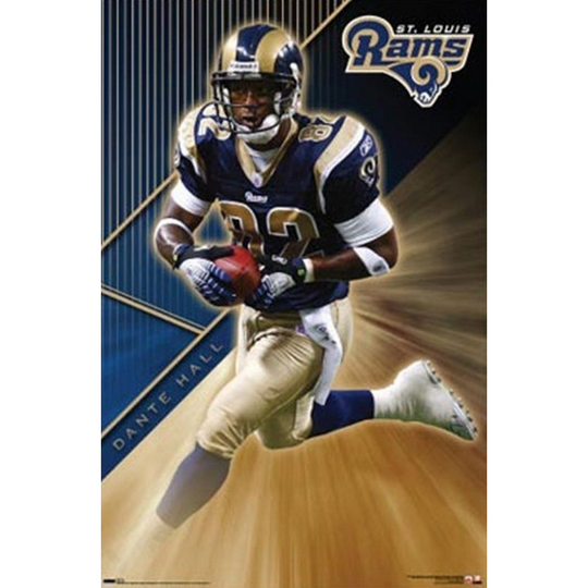 Rams - Hall Poster Poster Print - Item # VARTIARP4290 - Laminated (24 x 36)