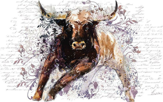 Rub On Transfer |Hokus Pokus El Toro Image