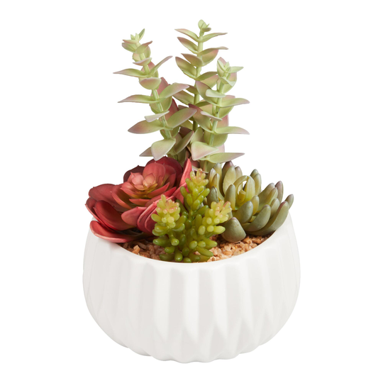 Faux Succulent Arrangement in White Faceted Ceramic Pot: Multi - Plastic by World Market