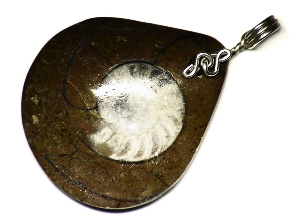 Fossil Ammonite Pendant, Real Necklace, Cool Science Gift For Nerds, Wire Wrapped Spiral in Matrix, Sterling Silver Wrap