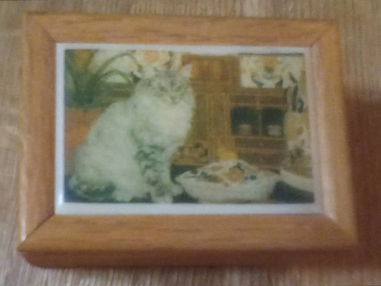 Collectable Cat Music Box