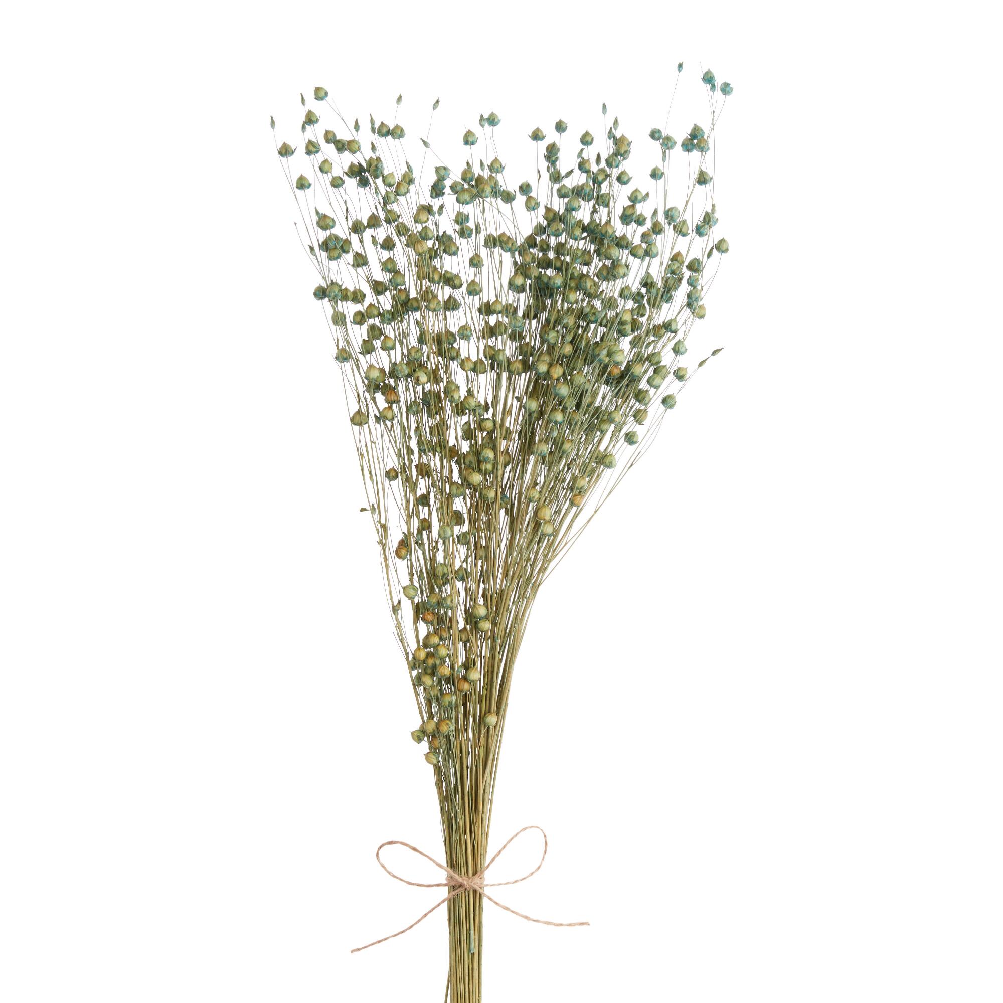 Dried Indigo Flax Bunch by World Market