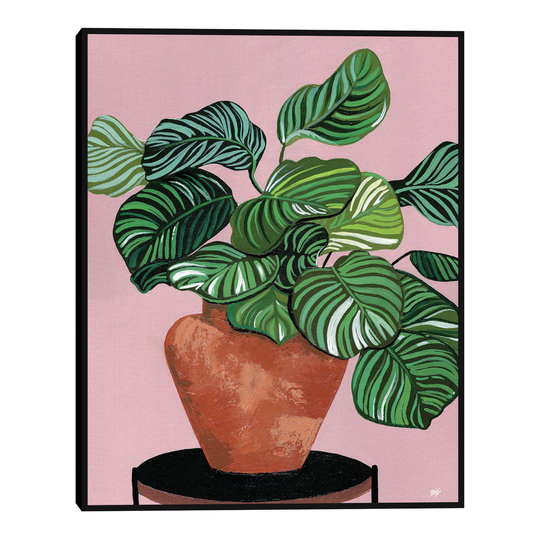 Calatheas By Bria Nicole Framed Canvas Wall Art: Pink - Medium by World Market