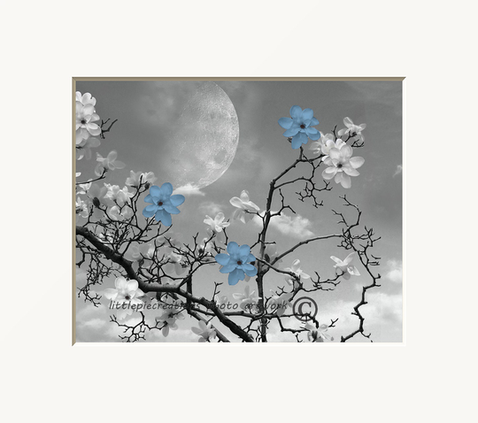 Blue Gray Flowers On Tree Branch Moon Bedroom Bathroom Photography Home Decor Matted Wall Art Picture