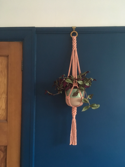 Macrame Iris Plant Hanger